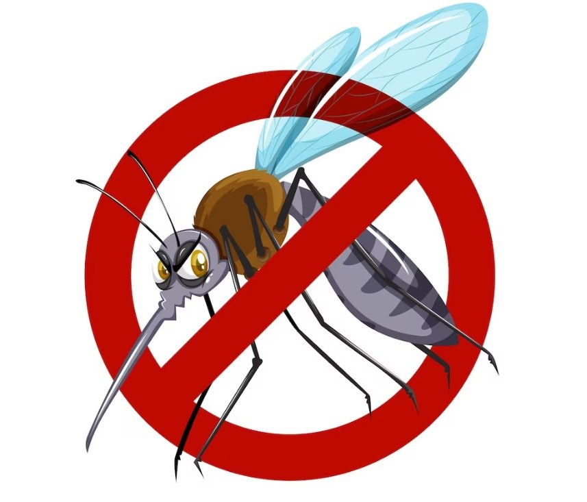 SAÚDE I Tire as principais dúvidas sobre a vacinação contra dengue